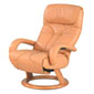 Canapés et fauteuils en cuir